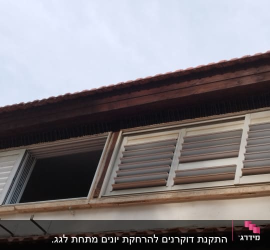 חלון עם סורגים למניעת כניסת יונים